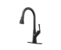 Casainc Single-Handle Pull-Down Kitchen Faucet Single Hole Faucet 1.8 Gpm