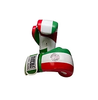 Amber Sports Invincible Fight Gear Standard Hook and Loop Leather Training Boxing Gloves with Mexican Flag Colors