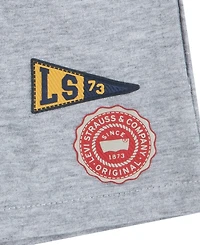 Levi's Baby Boys Coastal Prep Raglan Top and Shorts, 2-Piece Set