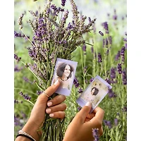 Fujifilm Instax Mini Soft Lavender Instant Print Film 10 Pack Bundle