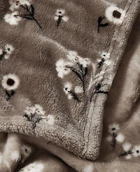 Lucky Brand Daisy Floral Cozy Plush Blanket, Twin/Twin Xl