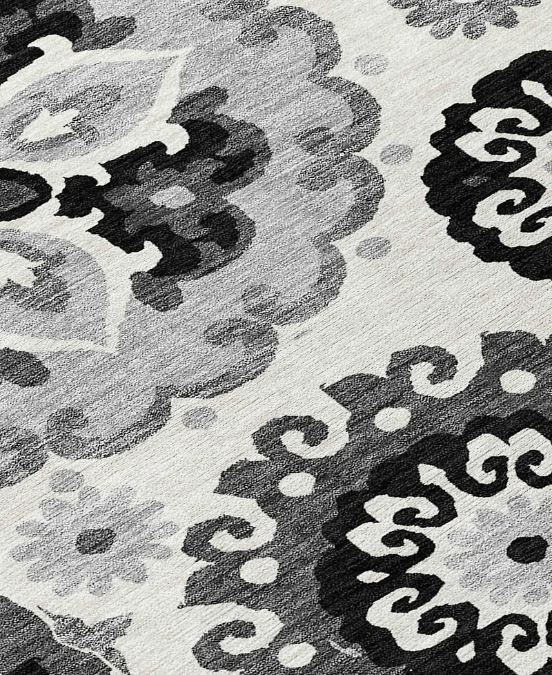 Addison Chantille Machine Washable ACN763 2'3"x7'6" Runner Area Rug