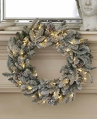 Seasonal 24" Lexington Fir Wreath, 50 Warm Led Lights