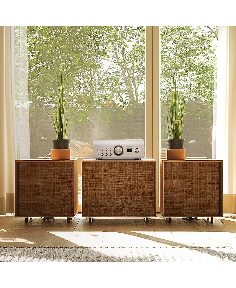 Denon Pma-3000NE Reference 2-Channel Integrated Amplifier