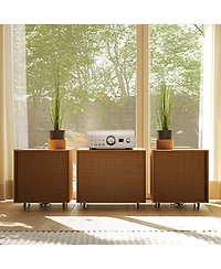 Denon Pma-3000NE Reference 2-Channel Integrated Amplifier