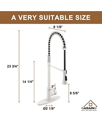 Casainc Spring Pull Down Sprayer Kitchen Faucet with Dual-Function Spray Head and Deck Plate