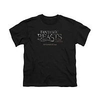 Fantastic Beasts Boys Logo Short Sleeve Tee / T-Shirt