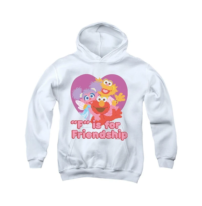 Sesame Street Youth Friendship Pull Over Hoodie