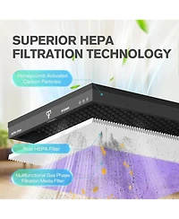 Morento MR5866 Air Purifier Replacement Filter, True Hepa Filter Compatible with MR5866, Multifunctional Version, 2 Pack