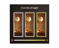 gaomon Led Mirror Full Length 71"x 28" Full Body Mirror with Light Floor Mirror Wall Mounted Mirror Freestanding Full Size Mirror dimming 3 Colors Lig