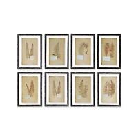 Framed Vintage Fern Prints Set of 8