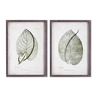 Cordate Leaf Study Set of 2