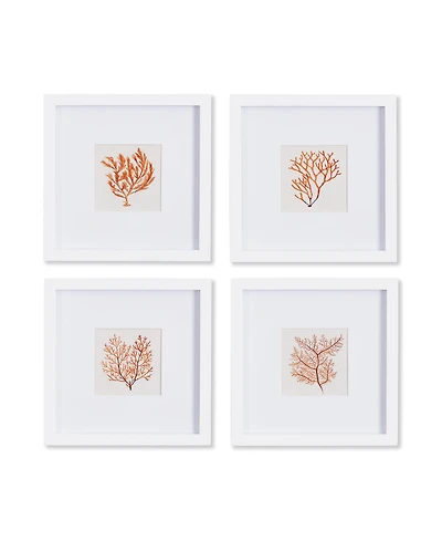 Branch Coral Petite Prints Set of 4