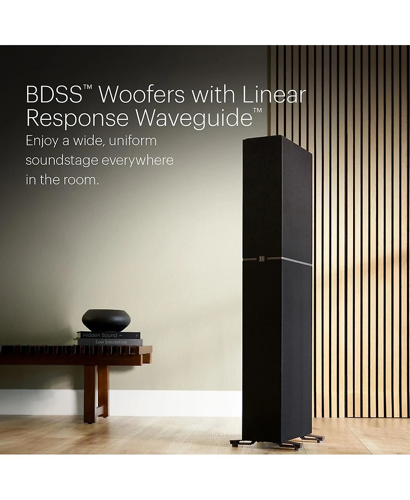 Definitive Technology Dymension DM60 Mid-Size Bipolar Floorstanding Speaker - Each
