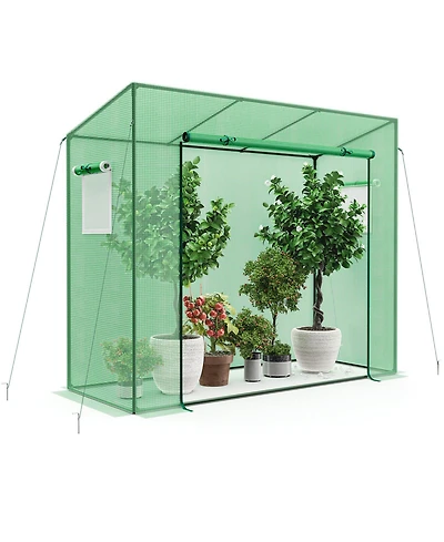 Outdoor Portable Walk-in Greenhouse with Pe Cover Heavy-Duty Metal Frame Roll-up Zipper Door