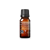Cliganic Reinforce Essential Oil Blend