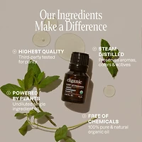 Organic Peppermint Essential Oil