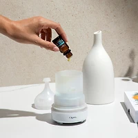 Organic Eucalyptus Essential Oil