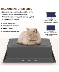 Casainc 33" L x 22" W Single Bowl Stainless Steel Drop-in Workstation Kitchen Sink with Accessories