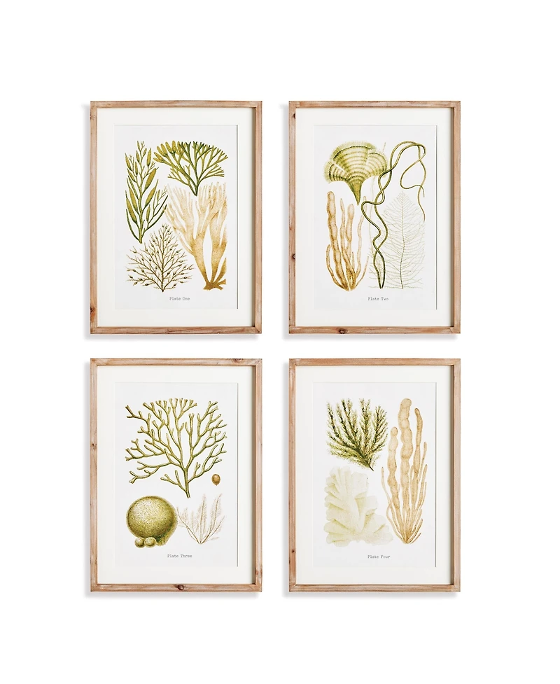 19.75"W x 1"D x 26.75"H Verdant Coral Study Framed Wall Art Set of 4