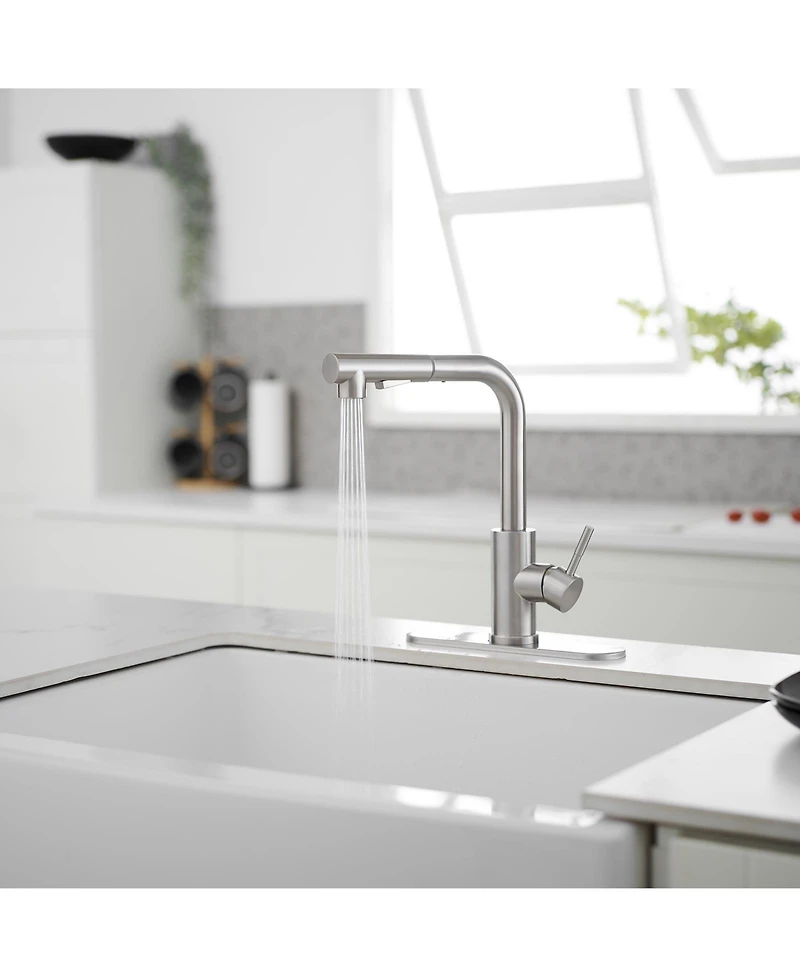 2 Sprayer Single Hole Single-Handle Pull Out Kitchen Faucet 360Swivel Spout