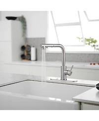 2 Sprayer Single Hole Single-Handle Pull Out Kitchen Faucet 360Swivel Spout