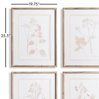 Blush Botanical Study Set of 4