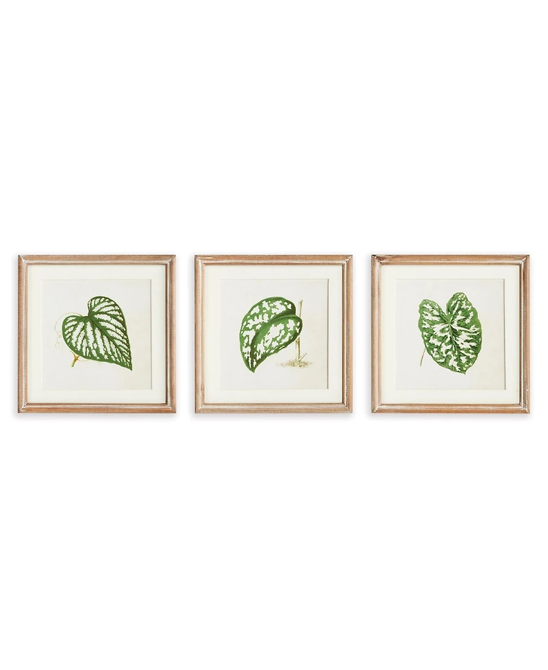 Leaf Cuttings Petite Prints, Set Of 3