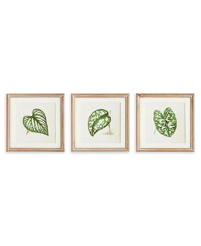 Leaf Cuttings Petite Prints, Set Of 3