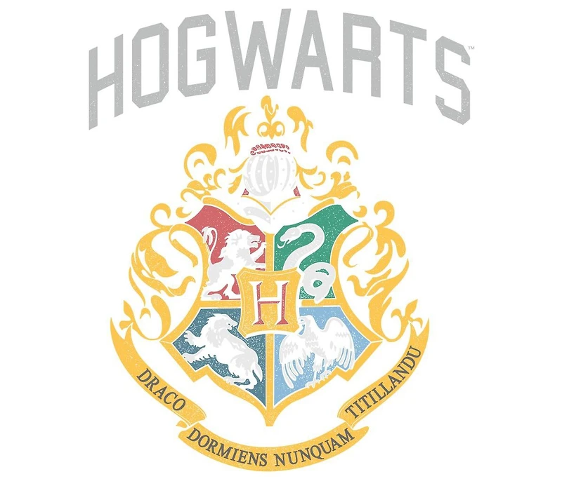 Harry Potter Men's Hogwarts Crest Charcoal Heather T-shirt-xxl