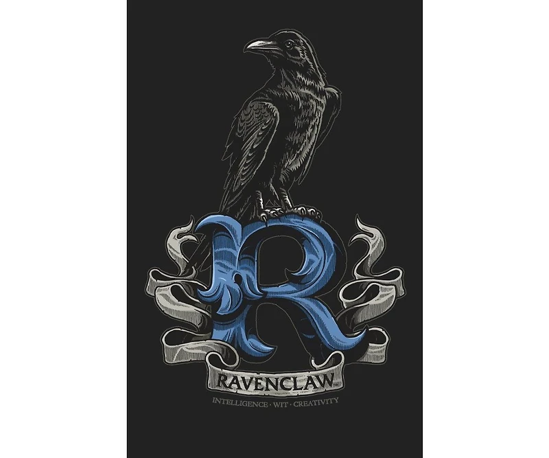 Harry Potter Big & Tall Ravenclaw Raven Black T-shirt-4XL