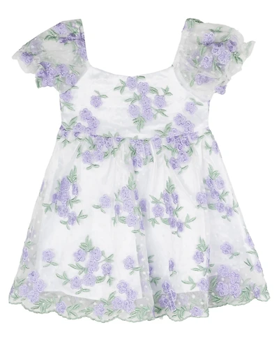 Rare Editions Baby Girls Floral Embroidered Mesh Social Dress