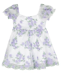 Rare Editions Baby Girls Floral Embroidered Mesh Social Dress