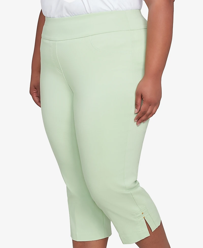 Hearts Of Palm Plus Solid Tech Stretch Pull On Pants