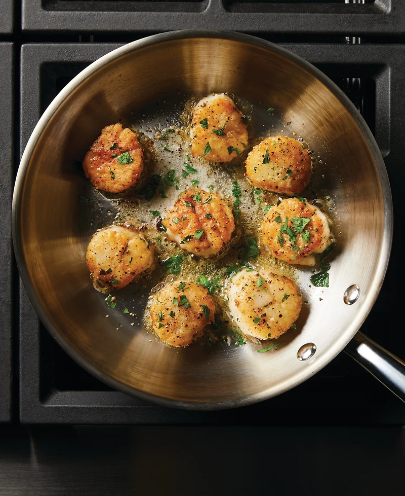 Rachael Ray Professional Stainless Steel Induction 10" Frying Pan