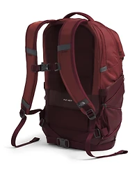 The North Face Men's Borealis Backpacks Messengers