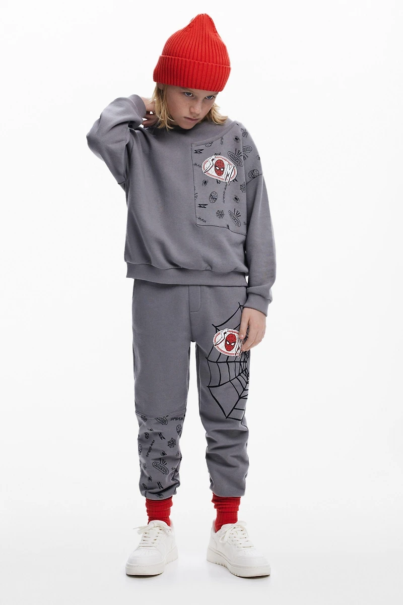 Desigual Boys Boys's Spiderman patch sweatshirt