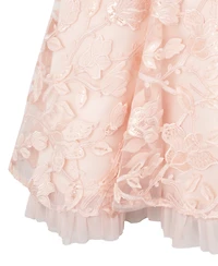 Rare Editions Big Girls Sequin and Embroidered Mesh Social Dress