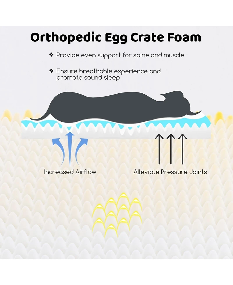 Egg-Foam Dog Crate Bed with 3-Side Bolster and Removable Washable Bed Cover