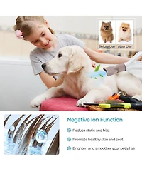 Dog Cat Hair Blower with Negative Ion Function and Adjustable Temperature