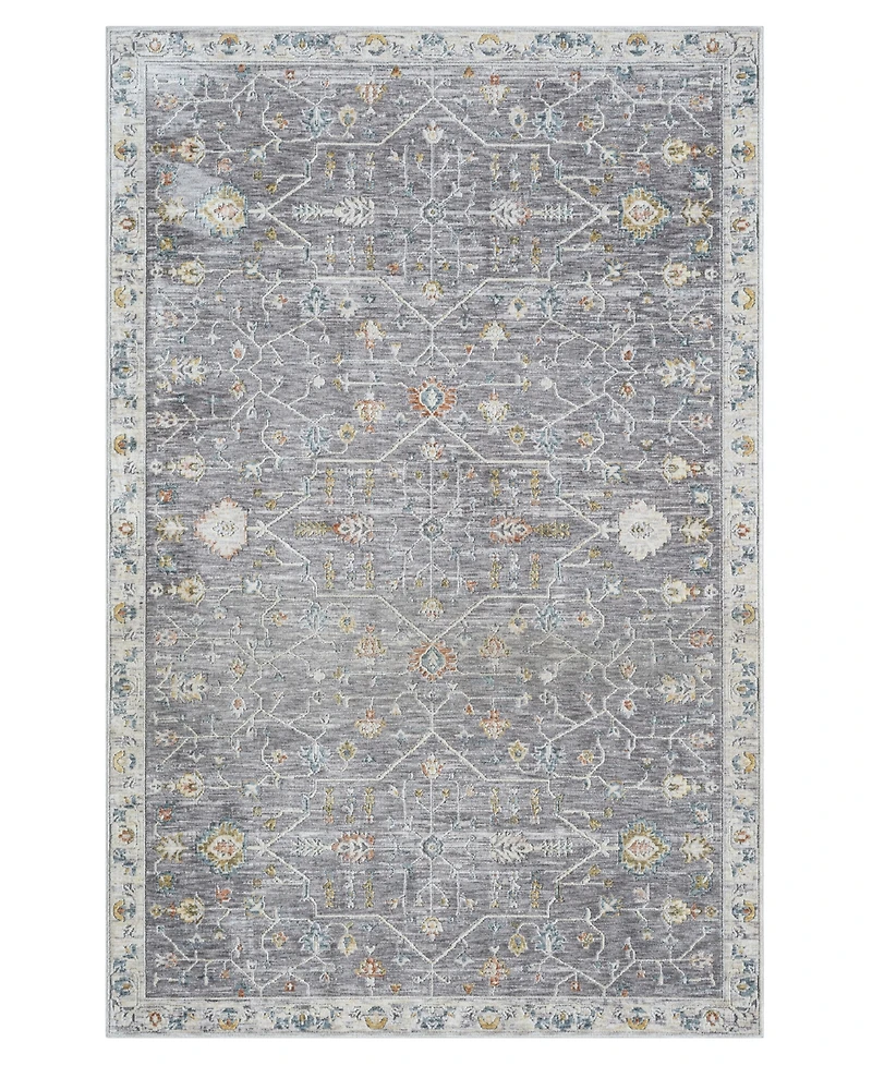 Lr Home Alexis All-471 2'x3' Area Rug