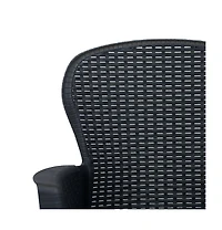 Patio Chairs 2 pcs with Cushion Anthracite Plastic Rattan Look