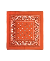 Bioworld Lightweight Multicolored 22"x22" 48-Pack Bandana Set