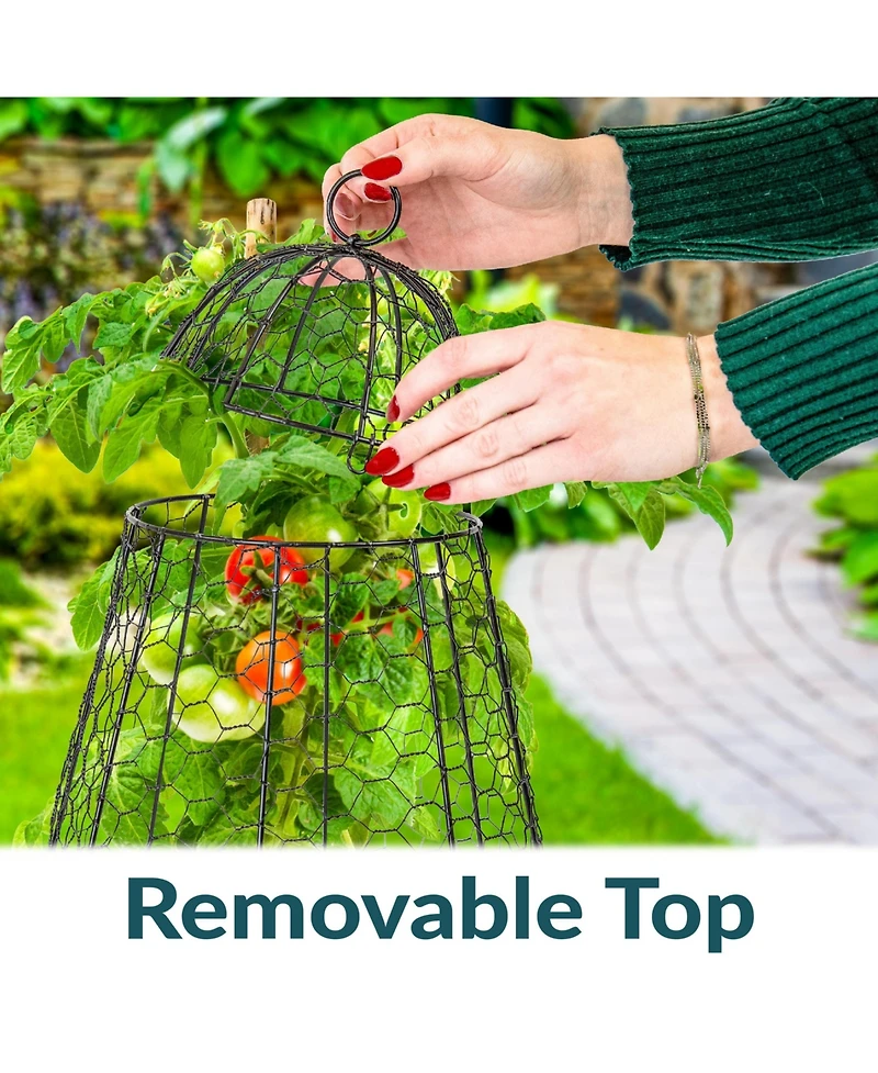 Chicken Wire Cloche Plant Protector with Removable Cover - 6-Pack