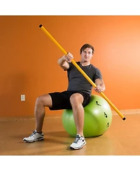 Prism Fitness 5 Pound Smart Stick for Balance, Alignment, and Range of Motion