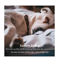 Pet Couch with Solid Memory Foam