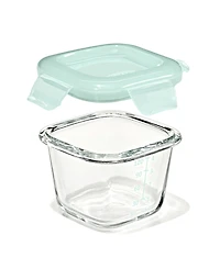 Oxo Tot Glass 4-Pack Baby Blocks Food Storage Containers