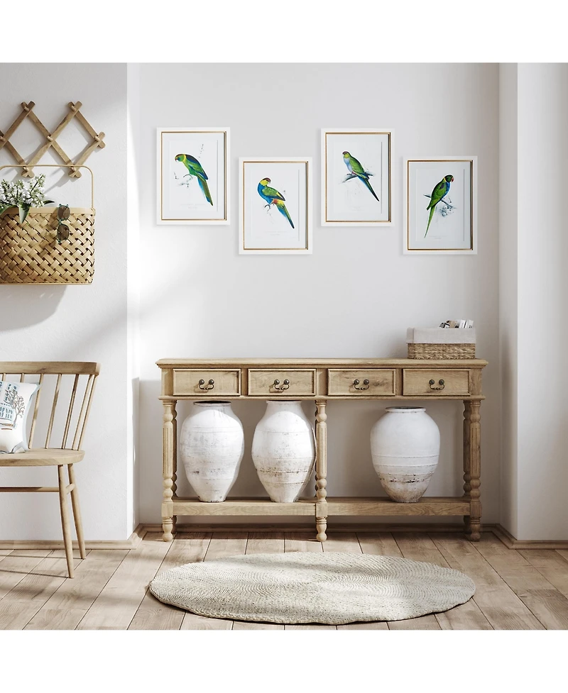 Colorful Parrots Prints St/4