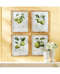 Fruit Study Set of 4