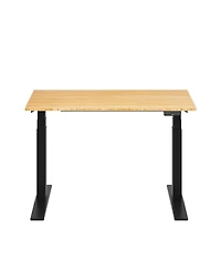 Flexispot E7-commercial W Electric Adjustable Standing Desk, Bamboo Top